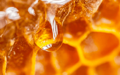 MORE ON CHESTNUT HONEY