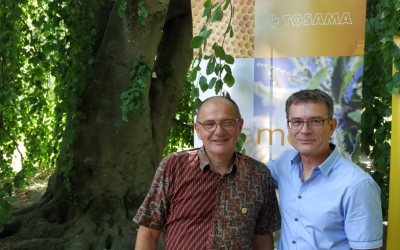 PROJECT: MEDICAL FACTOR OF CHESTNUT HONEY